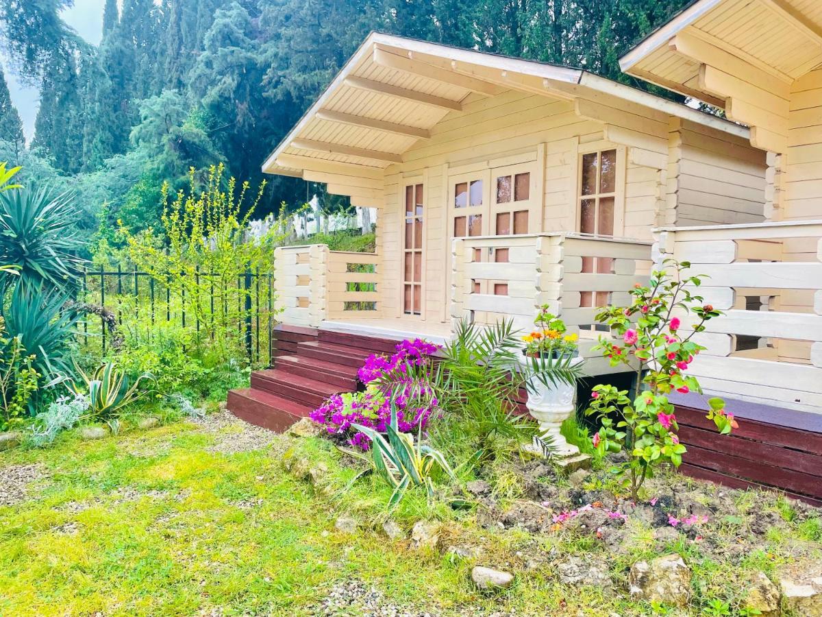 Vacation Home Apsar New Athos Dış mekan fotoğraf