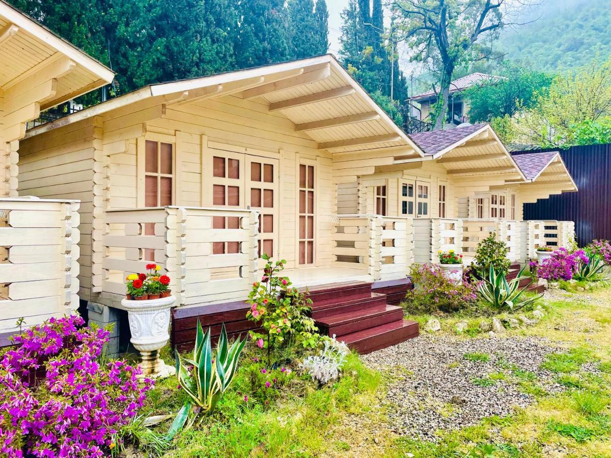 Vacation Home Apsar New Athos Dış mekan fotoğraf