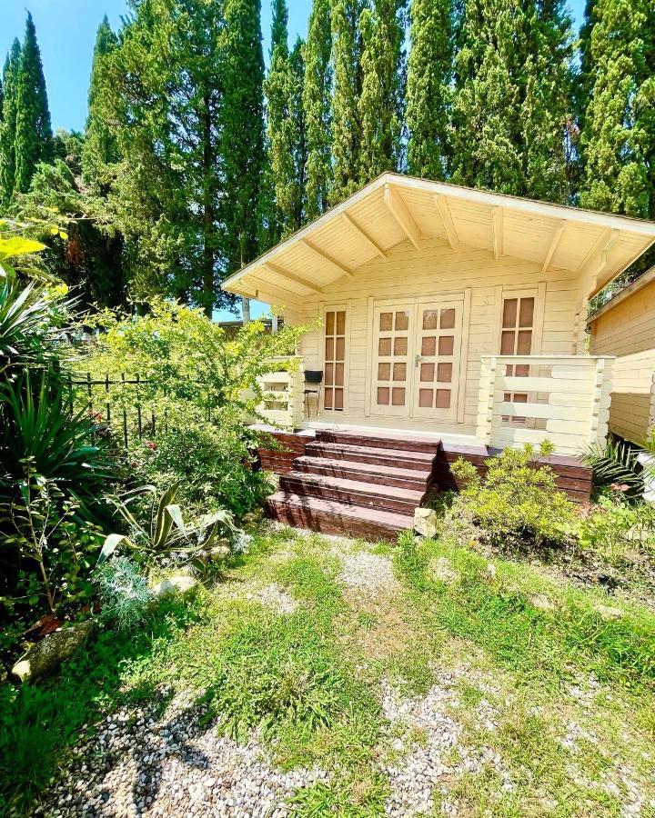 Vacation Home Apsar New Athos Dış mekan fotoğraf