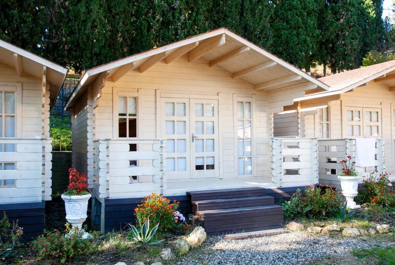 Vacation Home Apsar New Athos Dış mekan fotoğraf